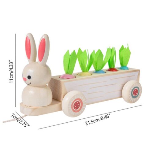 ⁦Carrot Sorting and Plugging Game Wood Puzzle⁩ - الصورة ⁦2⁩