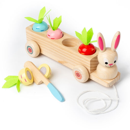 Carrot Sorting and Plugging Game Wood Puzzle