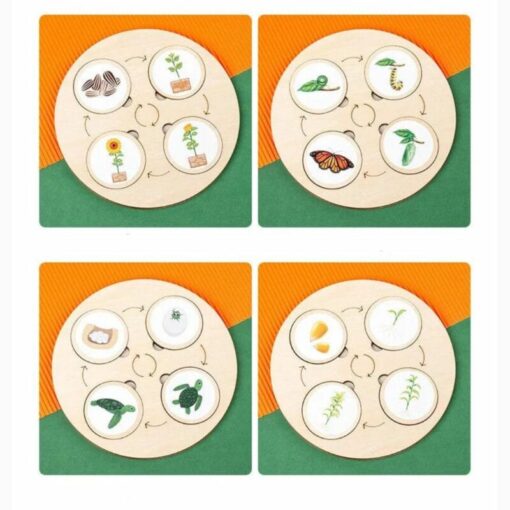 ⁦Life cycle deduction board⁩ - الصورة ⁦7⁩